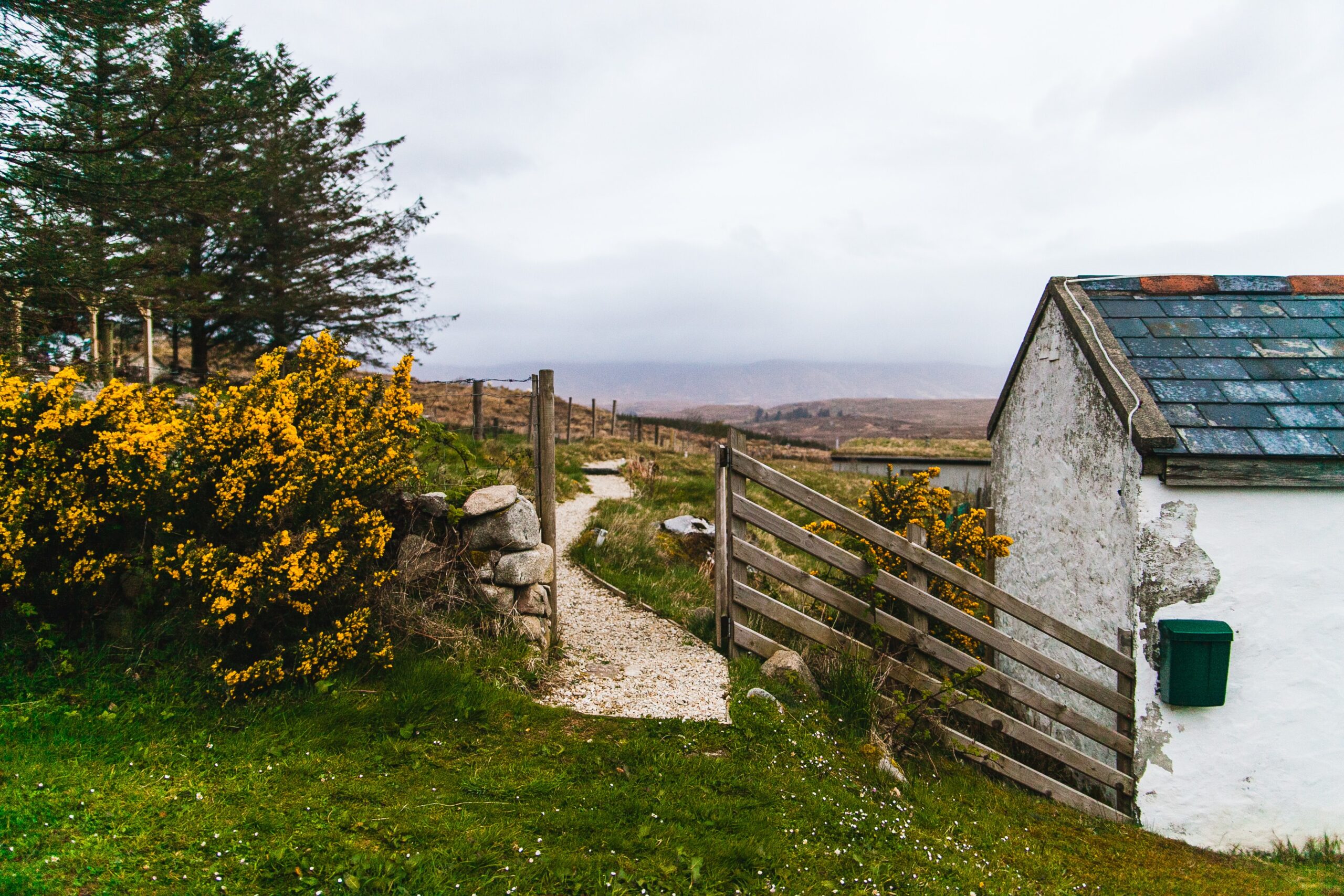 heather-mount-BUkgxEF2q7c-unsplash
