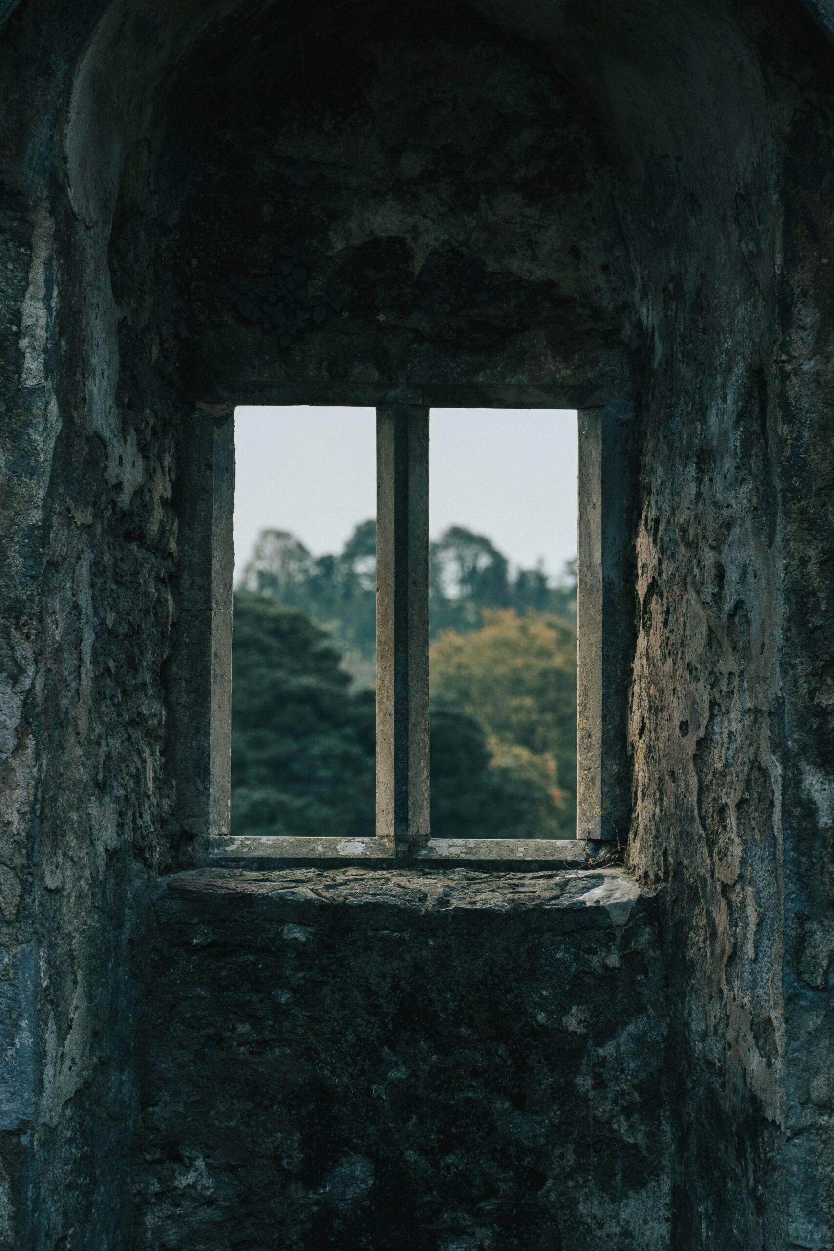 jean-carlo-emer-WlGU61NQfas-unsplash